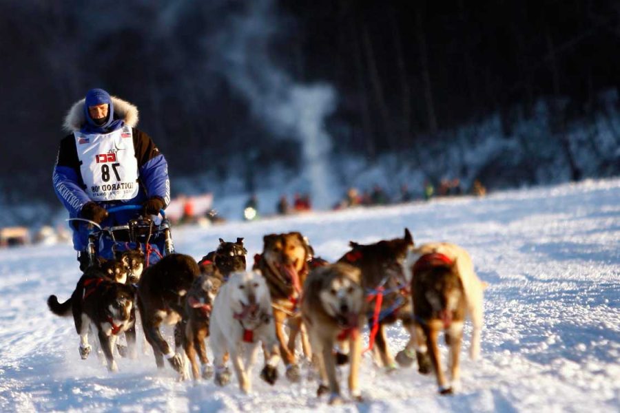 Guía del deporte con perro: salud