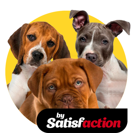 pienso_perros_criador_satisfaction