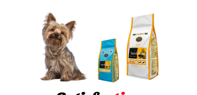 Yorkshire Terrier: Todo lo que necesitas saber sobre esta raza